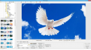 Photoscape Программа фотоскайп скачать бесплатно на русском